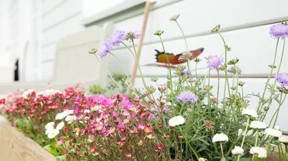 Gartengestaltung mit Pflanzen Gartengestaltung mit Pflanzen